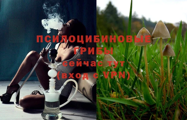 герыч Вязьма