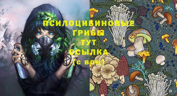 прущая мука Вязники