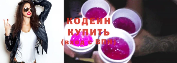 шишки Вяземский