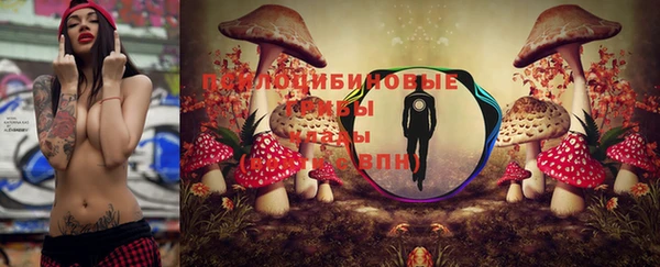 шишки Вяземский