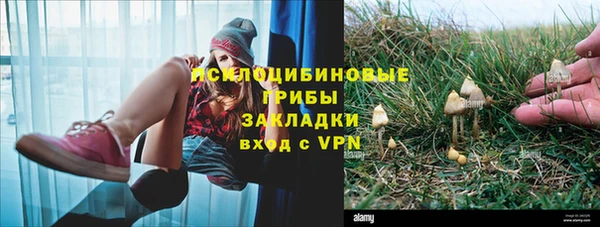 герыч Вязьма