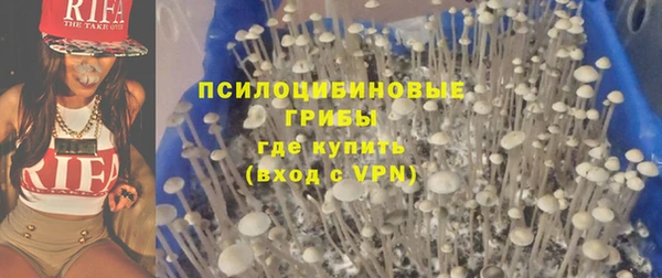 прущая мука Вязники