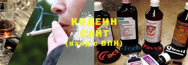 шишки Вяземский