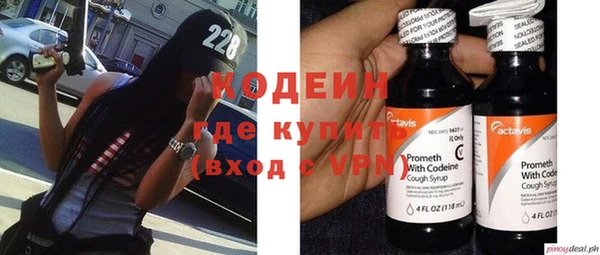 шишки Вяземский