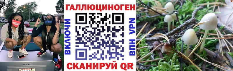 Псилоцибиновые грибы MAGIC MUSHROOMS  Купить где  Приморск 
